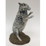 A Cobridge Stoneware figure 'The Fighter' depicting a rearing sheep,