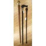 A collection of various walking sticks,