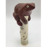 A Japanese hardwood toad crawling up a bone pole in a pond,