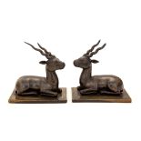 A pair of African tribal horn carvings, early 20th Century, recumbent antelope, rectangular plinths,