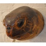 A taxidermy of a turtle's head, probably being of a green turtle (Chelonia Mydas), dated verso