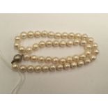 A strand of cultured pearls,