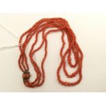 A coral necklace