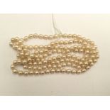 A string of cultured pearls, approx 62.