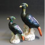 Two Models of birds brightly decorated with orange tails and green crests.