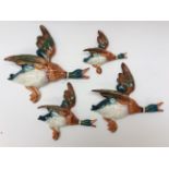 Four graduated Beswick flying ducks 596-1, 596-2, 596-3,