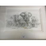 David Shepherd portfolio of pencil drawings, signed, Pandas, Elephant, Cheetah, Tigers,
