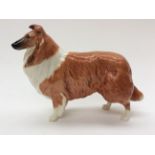 A Beswick Shetland Collie dog Lochinvap of Lady Park stamped to base