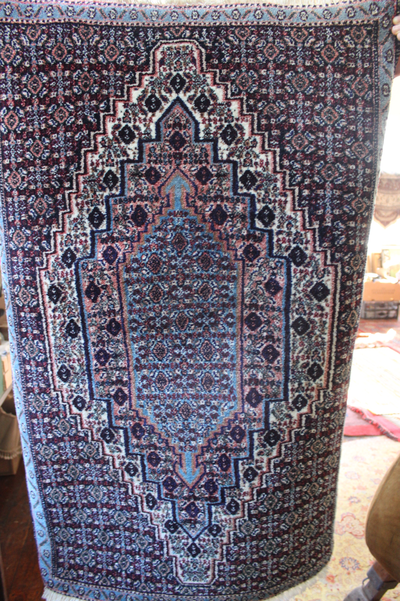 Oriental rug, red blue design,