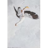 Harry Rowntree (British, 1878-1950), a goose falling from the sky, signed and dated (19)12 l.