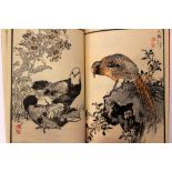 Early 20th-century Japanese colour woodblock printed book of birds, reminiscent of Kono Bairei,