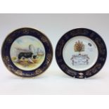 Aynsley - hand painted plate "Border Collie" by R.