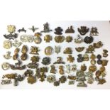 British Army Infantry collar dog collection. All singles. Approx 70 in total.