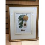 Four framed and glazed lithographs,