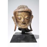 HEAD OF BUDDHAwood carved restgilt,birma, 19th centuryH: 24 cmRound, youthful, charming and sweet