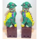 Pair Of Antique Coloured Glazed Temple Dogs Standing On Aubergine Square Bases, Height 12 Inches