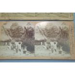 Two Photographs By J.F Jarvis Depicting Mexican Coffee Plantation Cordova 1890 And Donkey With Heavy