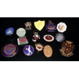 Collection Of Pin Badges, Assorted Enamelled Badges