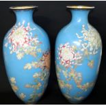 Large Pair Of Japanese Cloisonne Vases, Powder Blue Ground With Blossom Decoration