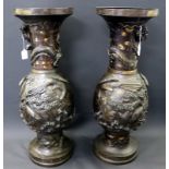 Pair Of Large Japanese Bronze Vases, early 20thC. Depicting Cranes And Dragons