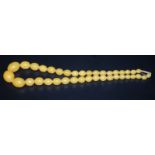 Antique Yellow Amber Graduating Bead Necklace With 9ct Gold Clasp