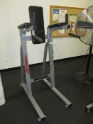 Life Fitness CSVKR-1007-101 Leg Raise; Leg Raise. HIT# 2223072. Loc: 1301-1 Asset Located at 64