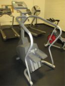 Life Fitness 90s Stairclimber; Commercial Stairclimber. HIT# 2223064. Loc: 1301-1 Asset Located at