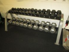 Life Fitness CSDBH-1007-102 Dumbbell Rack; Horizontal Dumbbell Rack, 15-75lbs. HIT# 2223075. Loc: