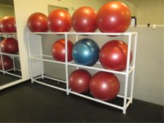 SPRI Body Balls; Lot: (9) 65cm Anti-Burst Exercise Body Balls with Rack. HIT# 2223077. Loc: 1301-1