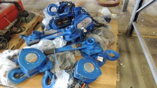 Jet Hoist. Lot: pallet and contents, 3to 5 ton chain hoist , 3 ton come a longs. HIT# 2230915.