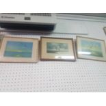 SET OF 3 PETER SCOTT PRINTS