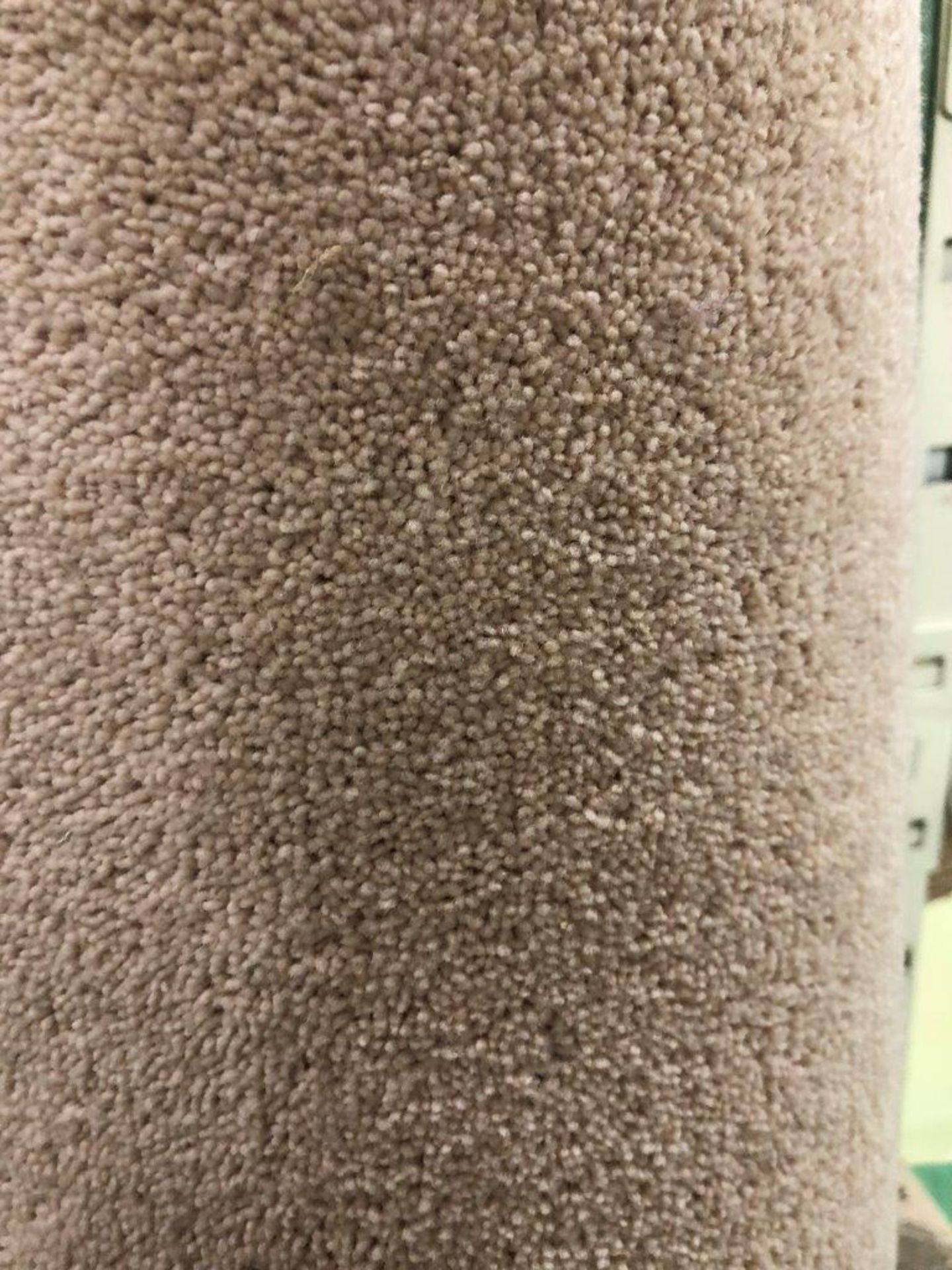 1 x Ryalux Carpet End Roll - Cream 5.0x2.1m2 - Image 3 of 3