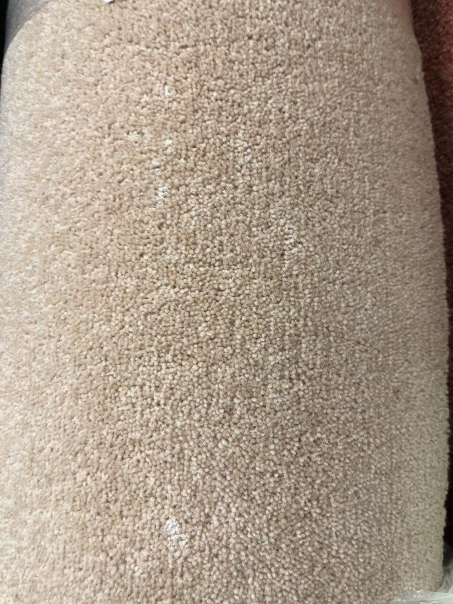 1 x Ryalux Carpet End Roll - Cream 2.9x4.0m2 - Image 3 of 3