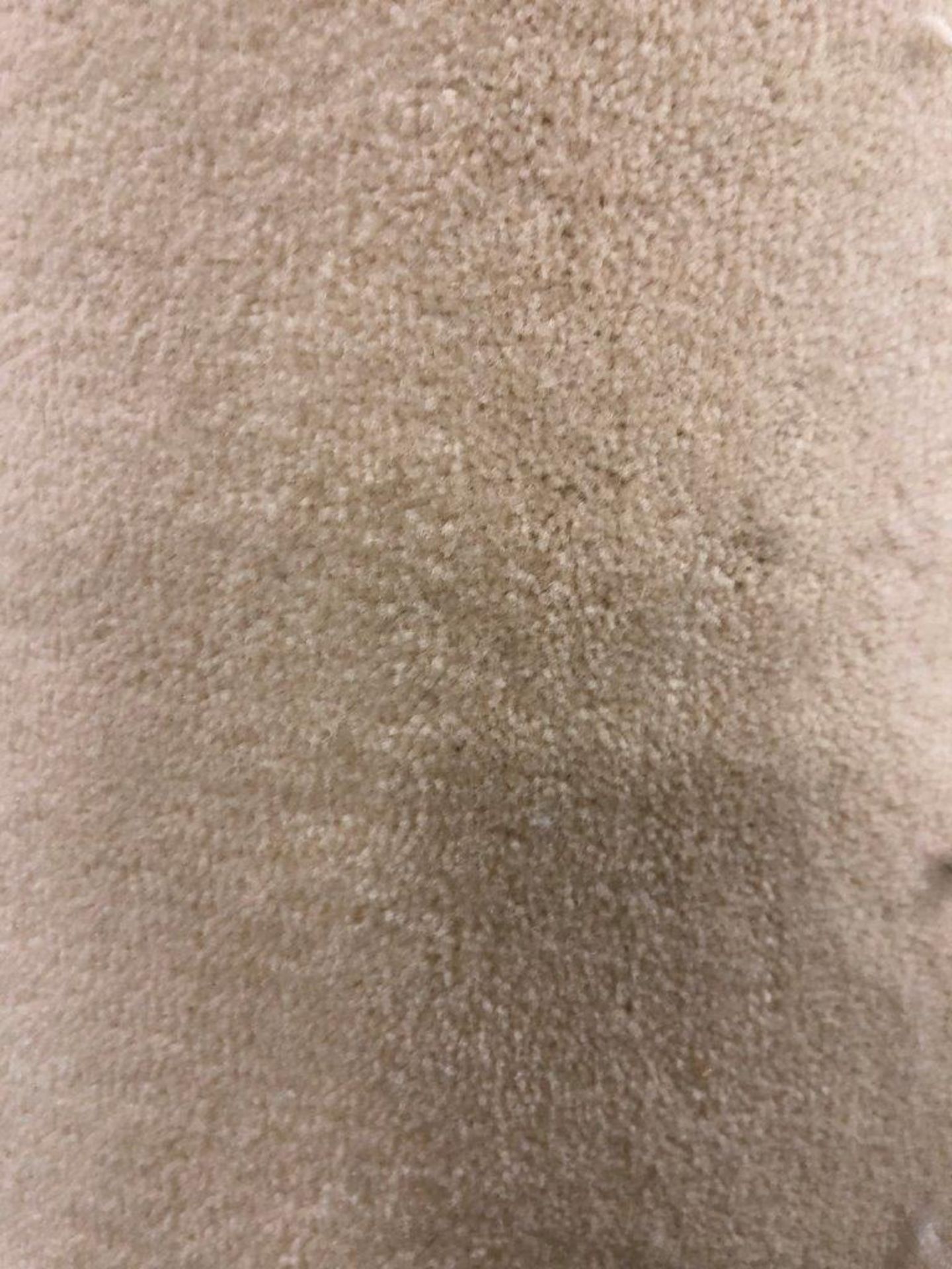 1 x Ryalux Carpet End Roll - Cream 4.2x2.3m2 - Image 3 of 3