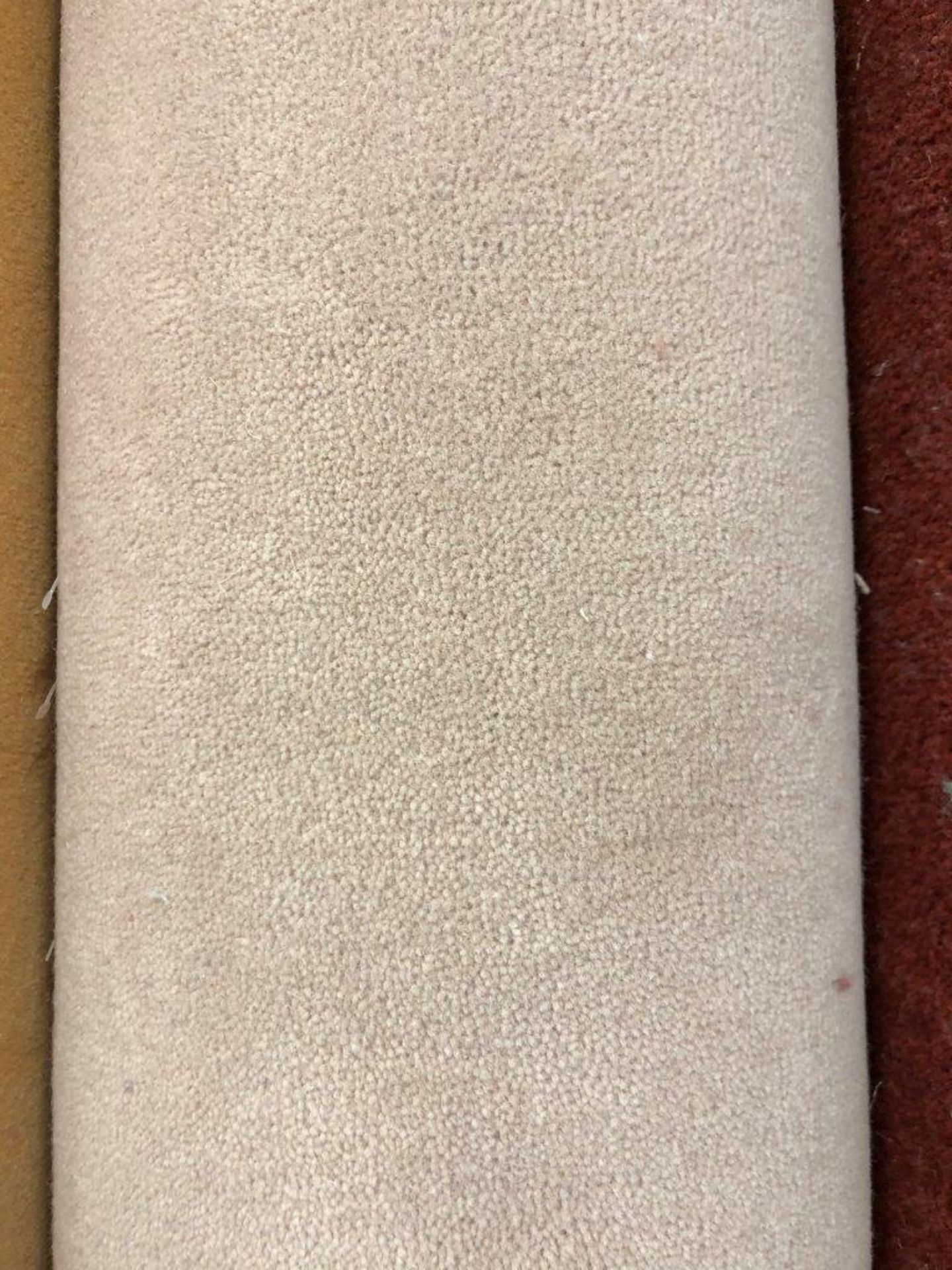1 x Ryalux Carpet End Roll - Beige 2.8x5.0m2 - Image 3 of 3