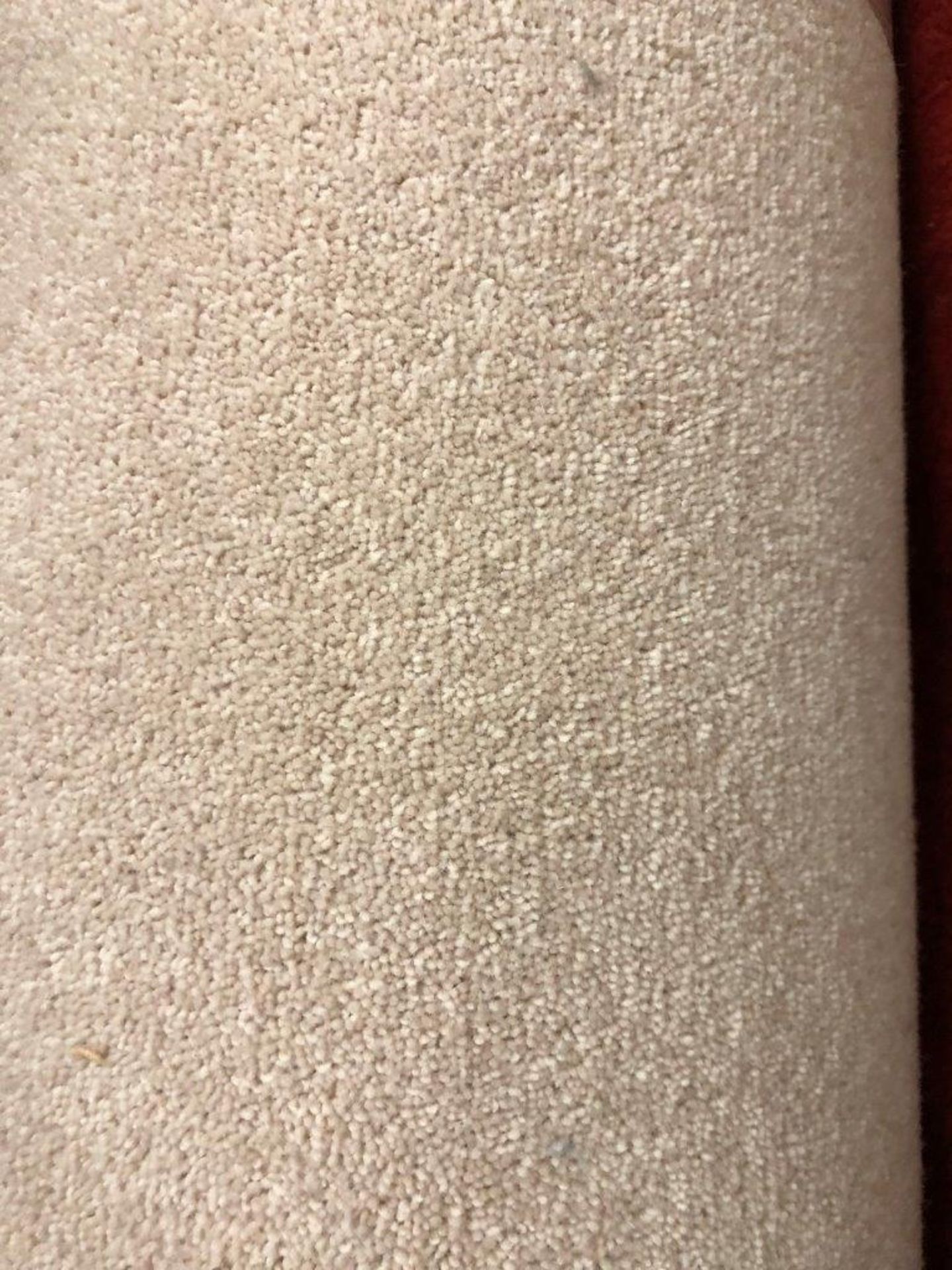 1 x Ryalux Carpet End Roll - Cream 2.7x5.0m2 - Image 3 of 3