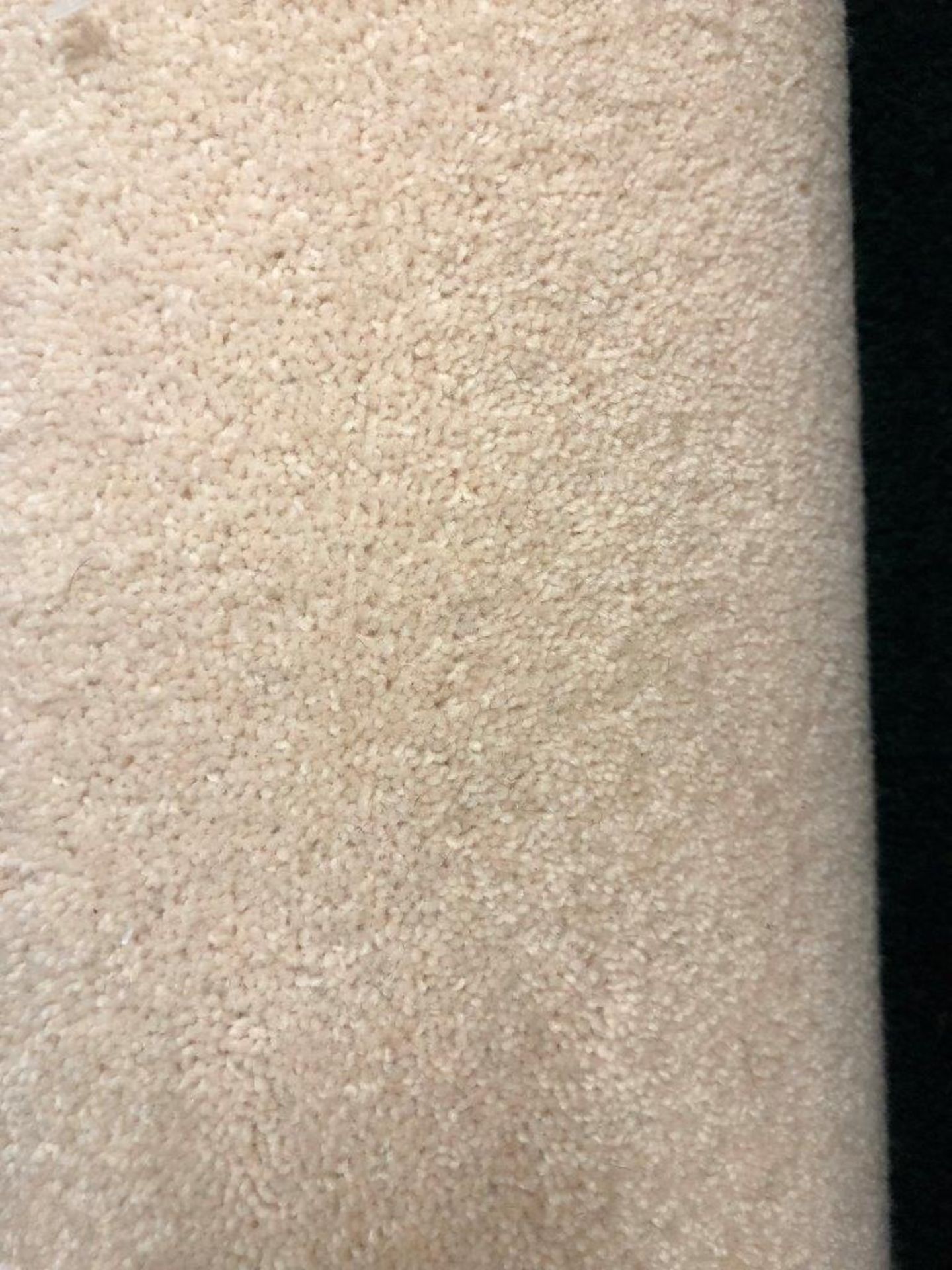 1 x Ryalux Carpet End Roll - Cream 3.1x4.0m2 - Image 3 of 3