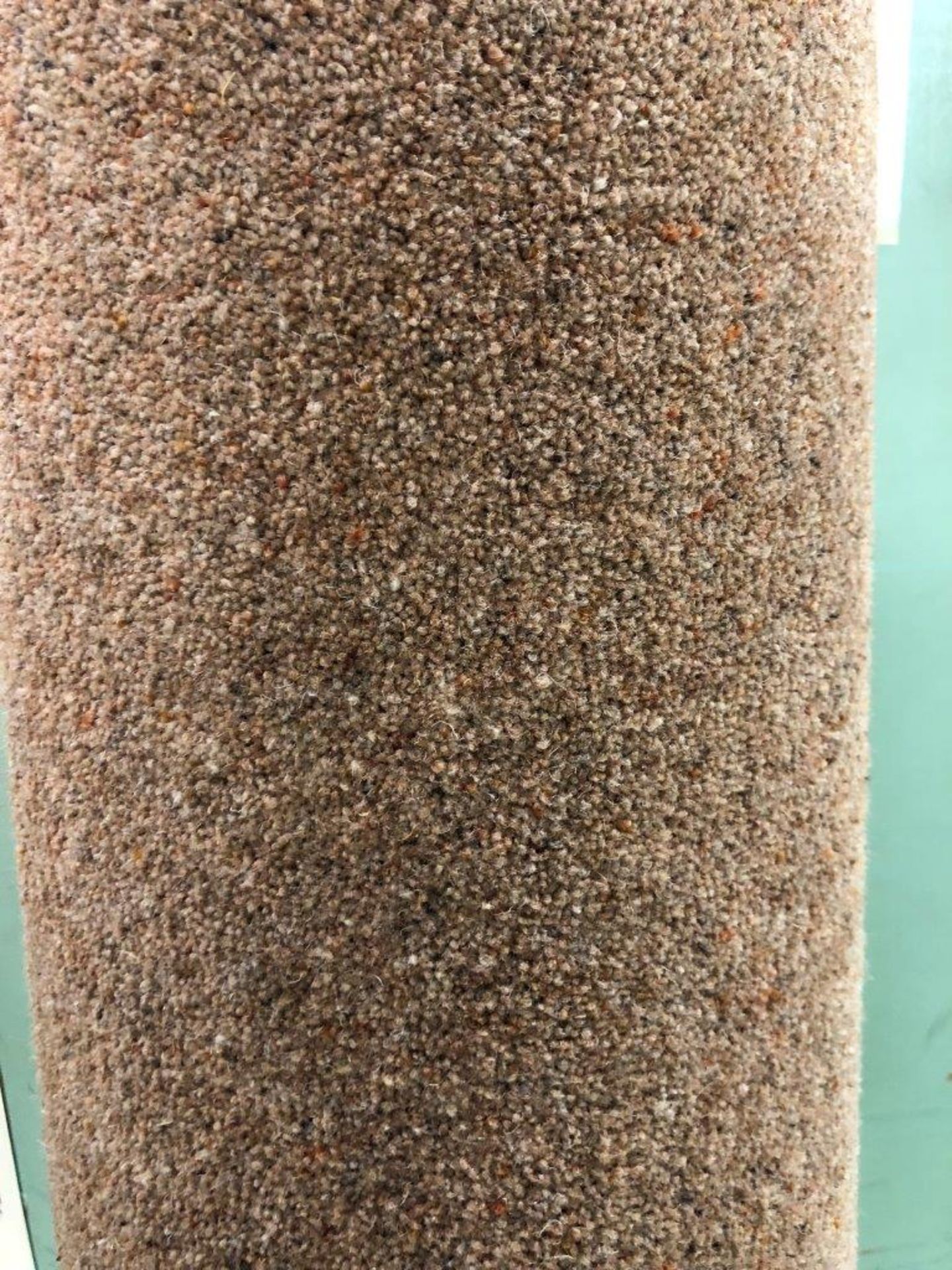 1 x Ryalux Carpet End Roll - Brown 2.9x1.9m2 - Image 3 of 3