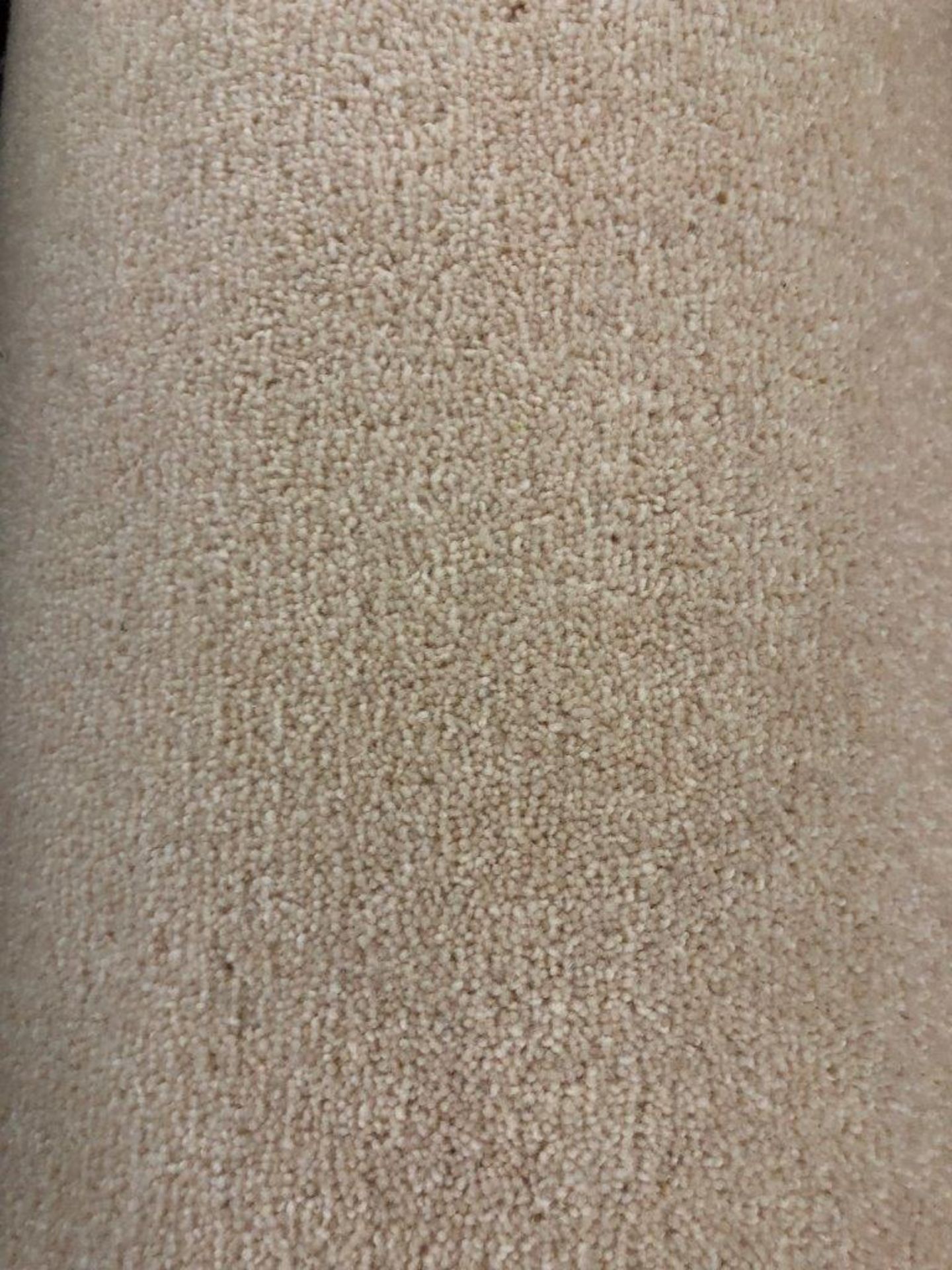 1 x Ryalux Carpet End Roll - Cream 5.0x2.8m2 - Image 3 of 3