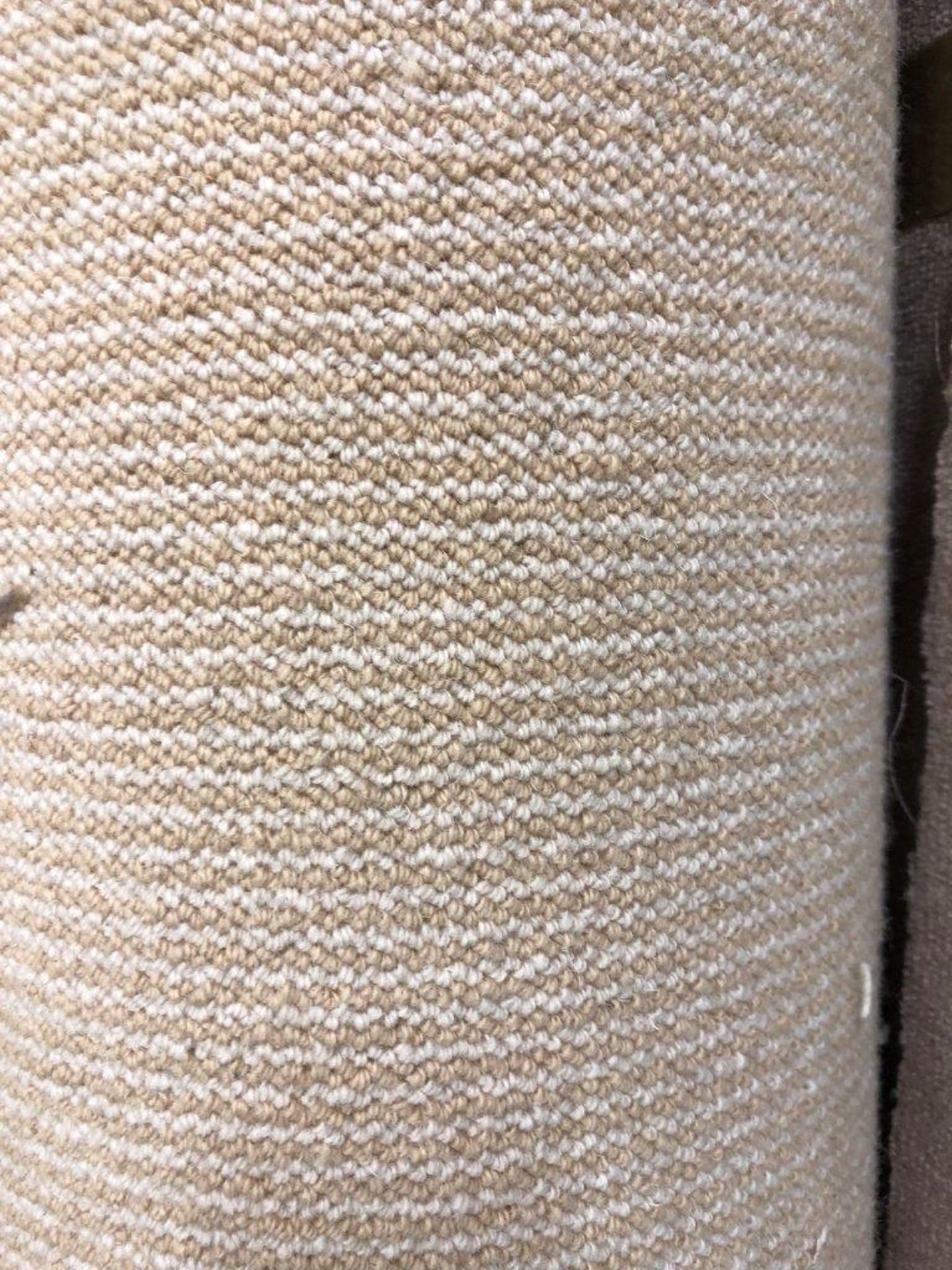 1 x Ryalux Carpet End Roll - Natural 5.3x4.0m2 - Image 3 of 3