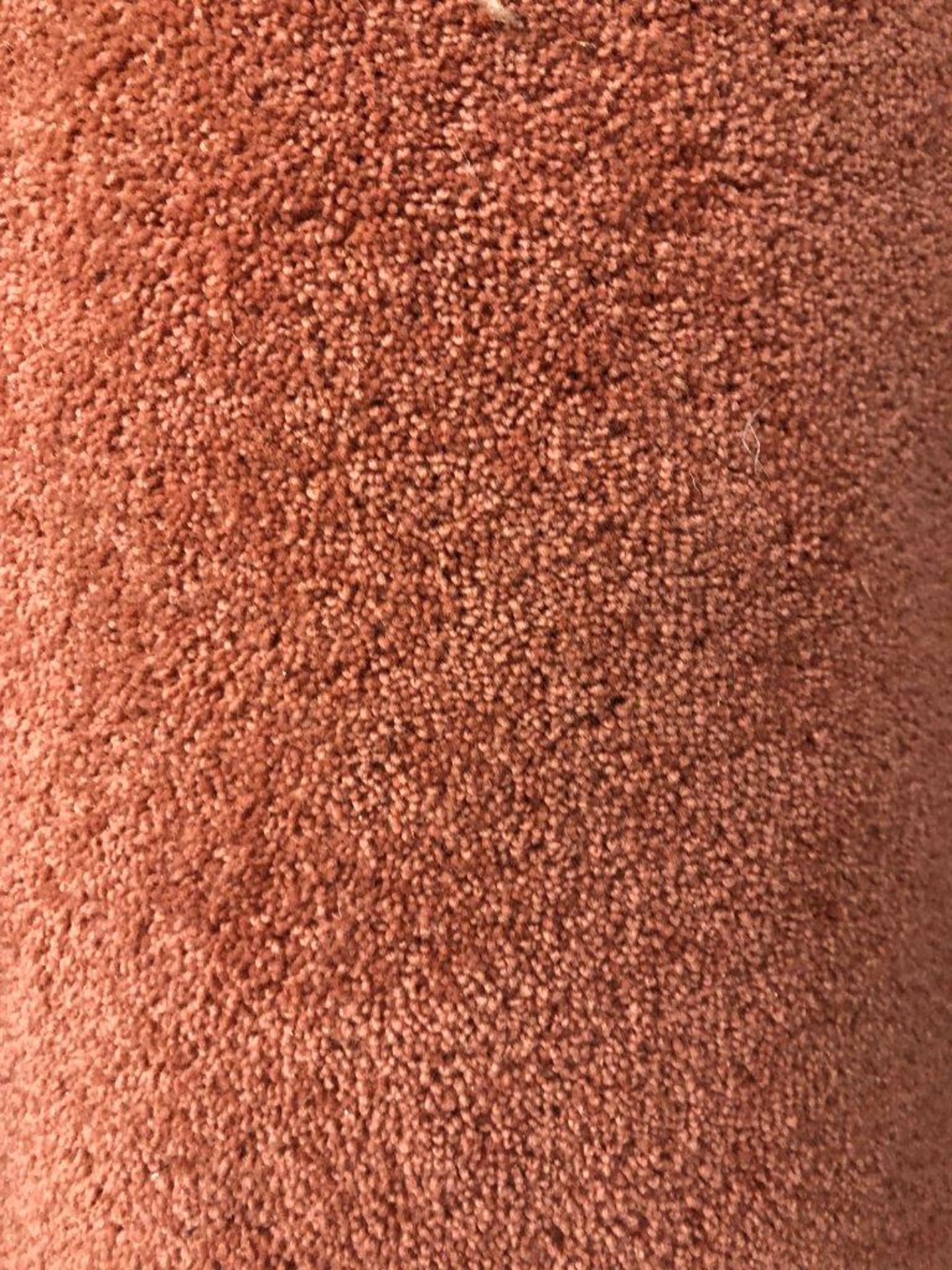 1 x Ryalux Carpet End Roll - Pink 4.0x5.0m2 - Image 3 of 3