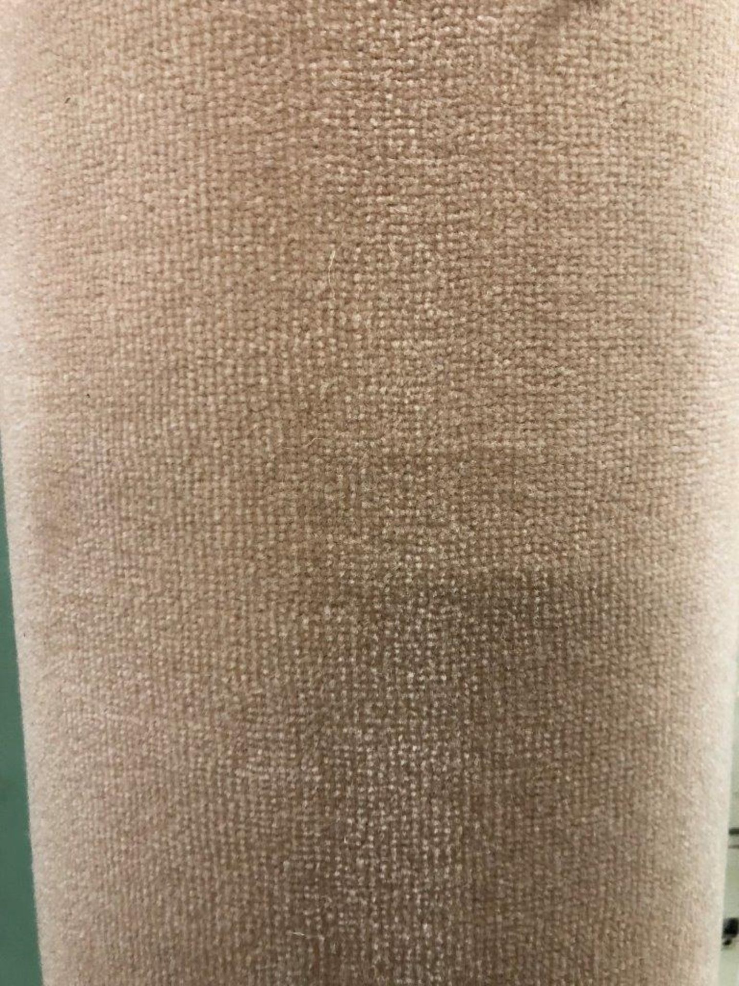1 x Ryalux Carpet End Roll - Cream 5.0x2.2m2 - Image 3 of 3