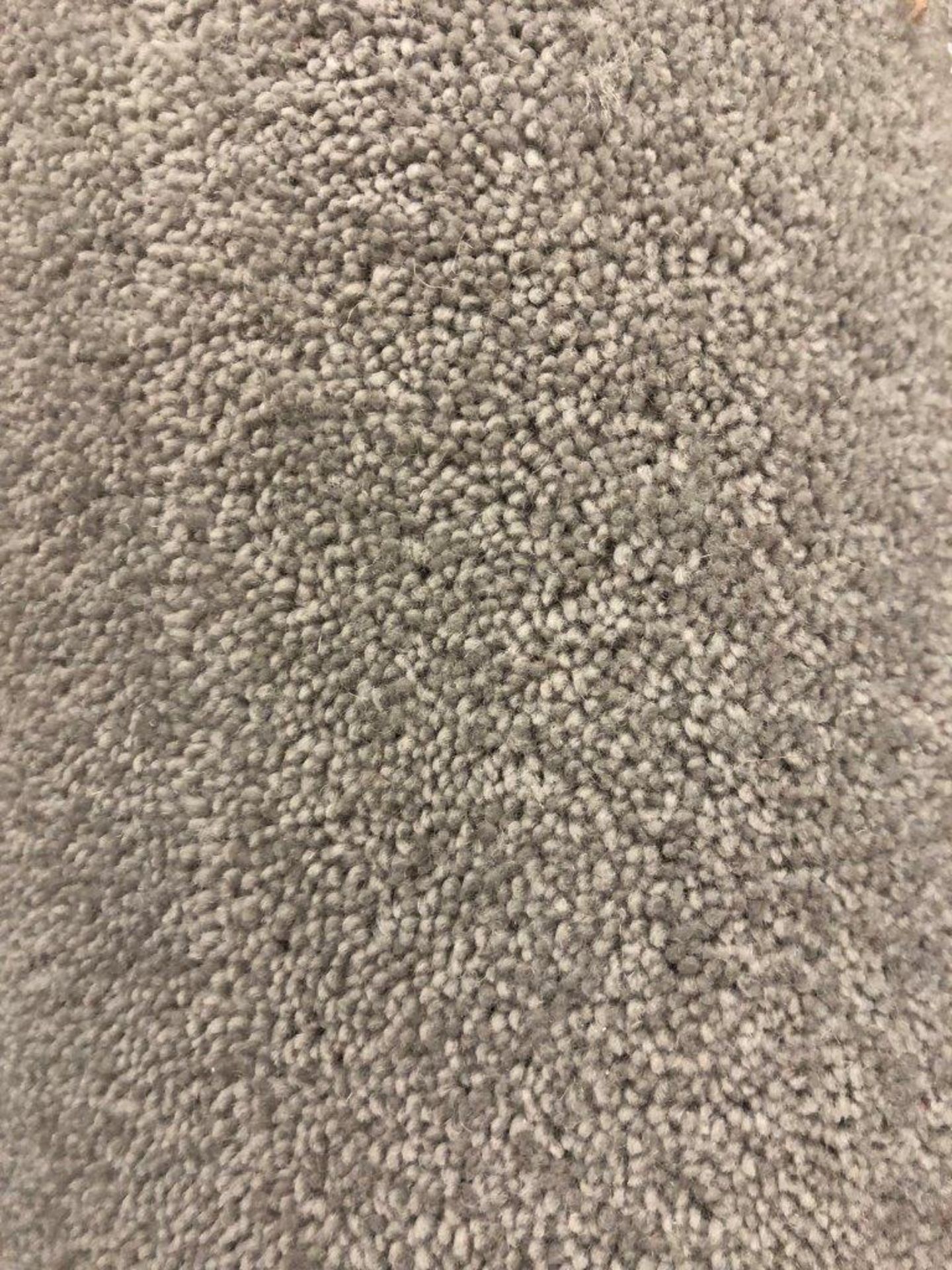 1 x Penthouse Carpet End Roll - Light Grey 2.5x1.4m2 - Image 3 of 3