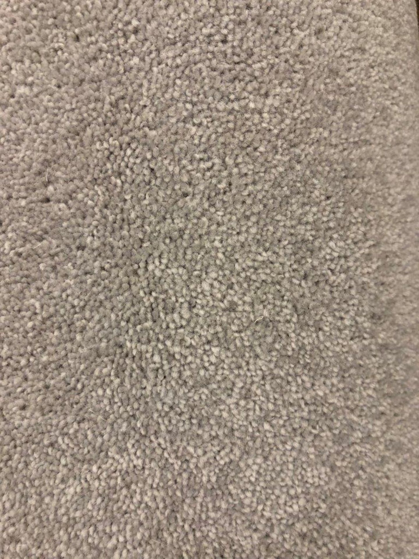 1 x Ryalux Carpet End Roll - Light Grey 2.4x1.55m2 - Image 3 of 3