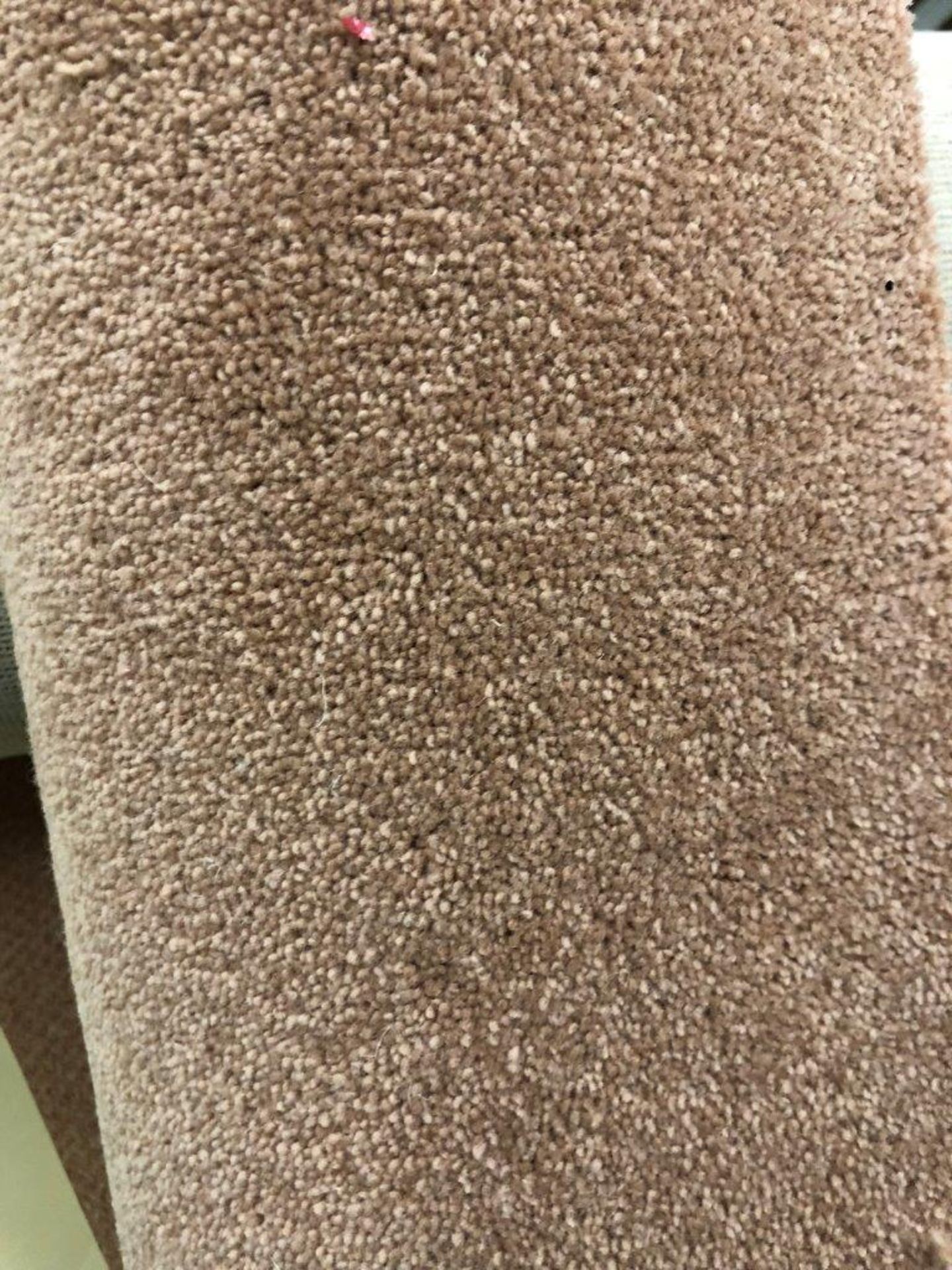 1 x Ryalux Carpet End Roll - Brown 2.3x1.7m2 - Image 3 of 3