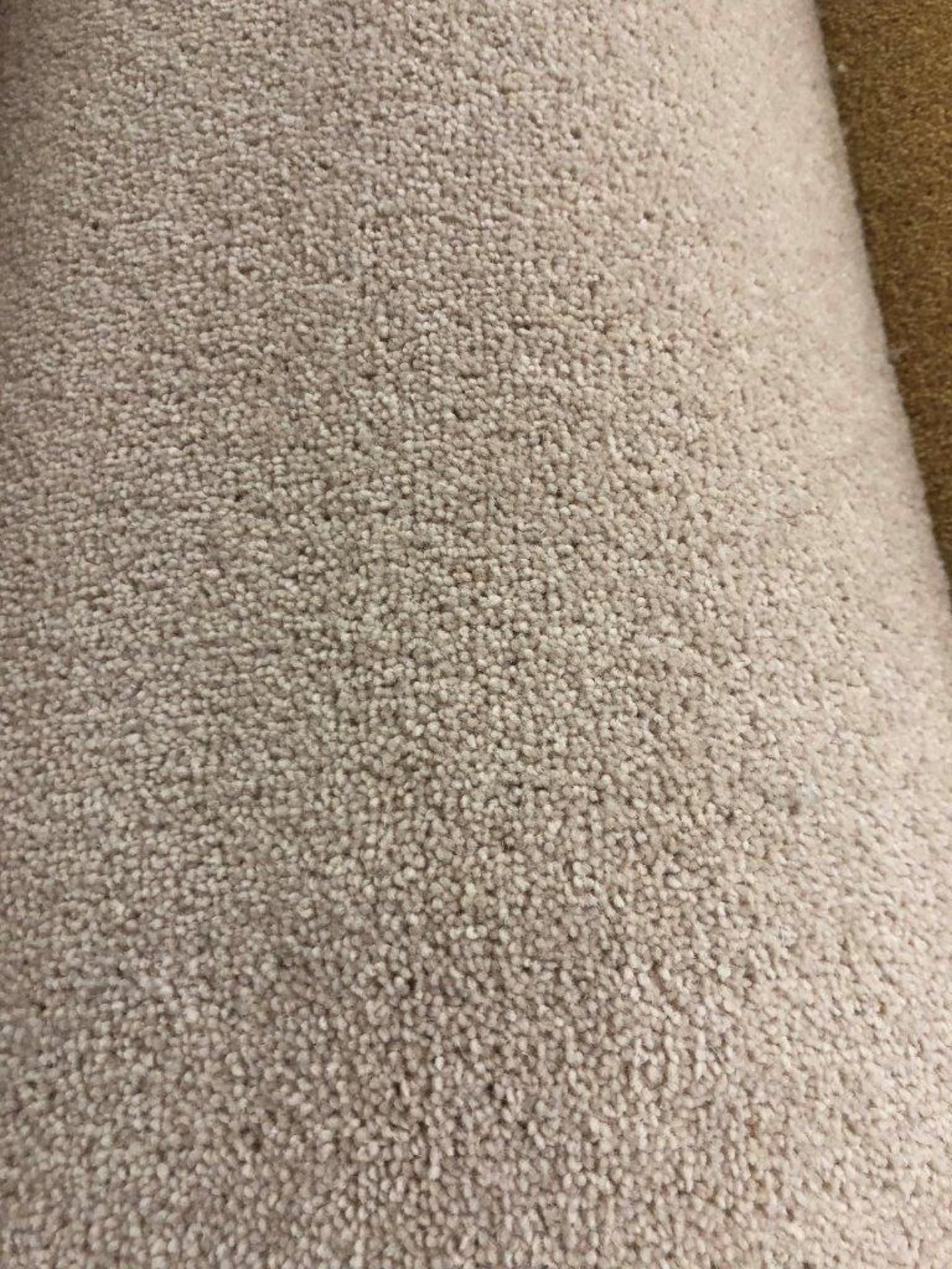 1 x Ryalux Carpet End Roll - Cream 4.0x3.0m2 - Image 3 of 3