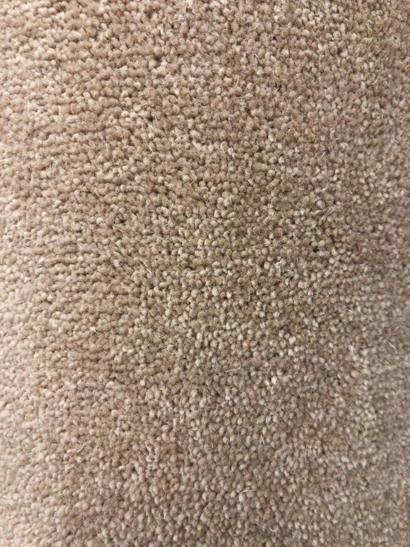 1 x Ryalux Carpet End Roll - Beige 4.9x3.3m2 - Image 3 of 3