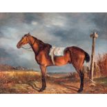 Ecole anglaise du XIXe s. Cheval à l'arrêt huile sur panneau 265x35 cm