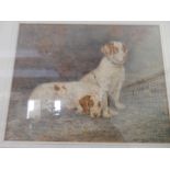 R.A Dent. A watercolour - Clumber spaniels, mounted, framed and glazed - 14in. x 11in.