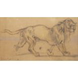 * SAINT-MARCEL Edme (1819-1890), Lion marchant, Plume, encre brune, crayon et lavis, [...]